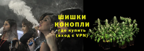 амф Арсеньев