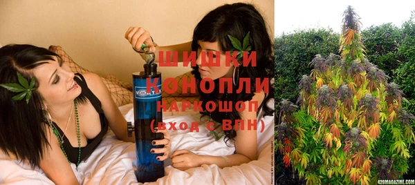амф Арсеньев