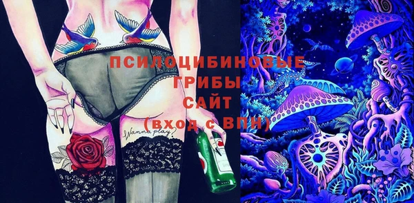дживик Осинники